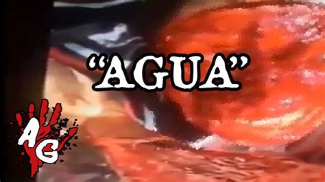 quiero agua gord